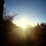 ピラティス日和