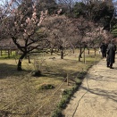 ただで店を巻き上げられそうなフランチャイズの悲劇が増えています