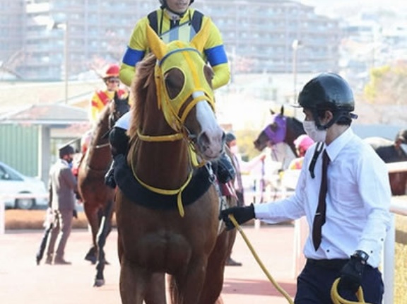 【アルゼンチン共和国杯】ボルドグフーシュ4番人気w11着w