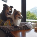 メロディ＆ミニーの写真館