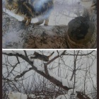 『まいこの写メ日記』の画像
