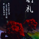 今日はこれ!!（でも暗雲が．．．）