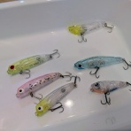 ベイト使いな日々