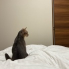 お布団の取り合い