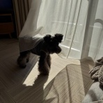 オーチャンネル☆