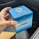 【イルクジ２０２６】店頭チェック！目立つブルースケルトン。
