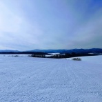 日新運輸株式会社　社長ブログ
