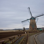 今日も早朝ラン