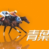 『青葉賞(G2)データからの推奨馬』の画像