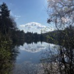 フルーティスト　田中桂子の音楽道