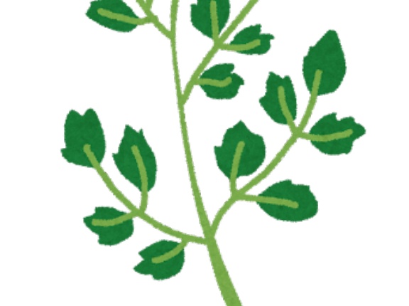 韓国人「日本では韓流に勝てないのを認めてセリのことを韓国の呼び名の『ミナリ』に変えたんだそうです」