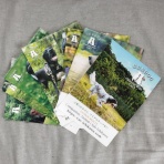 GUNDOG RESCUE CACI 活動ブログ