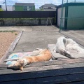 日向ぼっこ♪