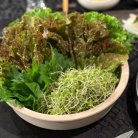 サムギョプサルと鰤のフェの夜ごはん