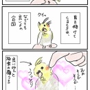 インコは気まぐれ