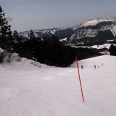 極楽坂、らいちょう 2015/03/15