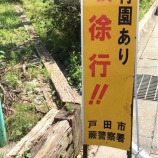 『老朽化した運転注意の注意看板が保育園のそばにあり、釘も出ていて危ないという連絡をいただきました。現地を確認し、担当課に相談したところ、直ぐに取り替えていただきました。』の画像
