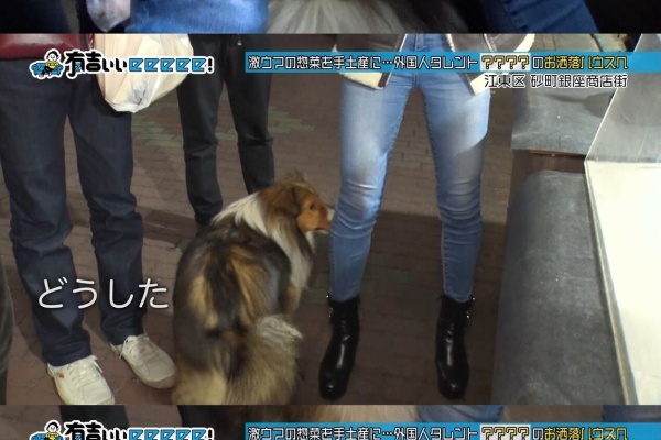 美味しい毒 みちょぱ