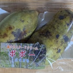 ランチ　食べ歩き