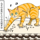 爪研ぎとちゃうんよ