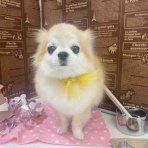 ゆうなぎ動物病院