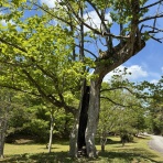 斜面防災設計【上岡地盤防災】（技術士事務所）blog