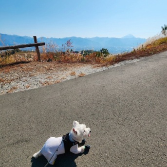 ほったらかしキャンプ場　～ぜんぜん、ほったらかしじゃないんだけれどね～