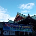 令和8年 神田明神納涼祭り・1日目(アニソン盆踊り)