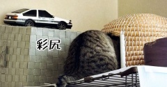 彩ちゃんは2年生。