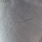 続？ さくら の のほほん道楽絵巻