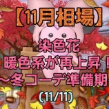 『【11月相場】染色花、暖色系が再上昇！～冬コーデ準備期～

』の画像