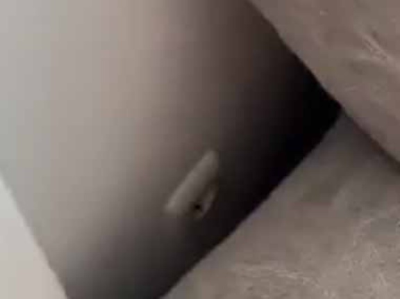 ネコ好きは決して見てはいけない。静まり返った部屋にソファが置いてあった → お分かりいただけただろうか…