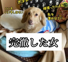 一夜明けて。