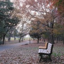 根岸森林公園（２）