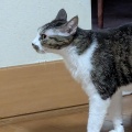 そら君