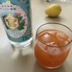40代派遣独身女・スペックゼロ