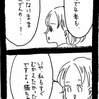 どうしても保護猫を迎えたかった知人2