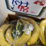 『【半額市】本日のお買い得品NO3』の画像