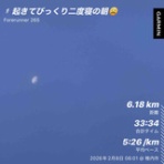 ぱっぽとにゃんの仲良しブログ♡♡♡