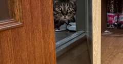誰？