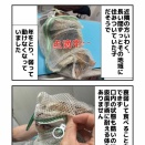 続・外猫の現実・・