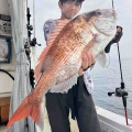 9月13日の釣果報告🐟🐟🐟🐟