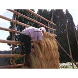 �ذ��ڴ������줿���æ��٤β���