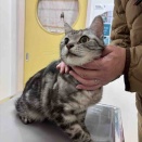 診察室で、先生待ち。