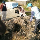 『【小木半島ジオめぐり】海底火山を歩く』の画像