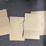 カブクワ時々雑学日記