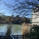 国際卓越研究大学