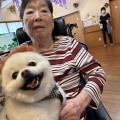 わんわん。