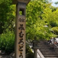 三室戸寺の紫陽花2026