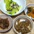 副菜いろいろ☆栄養バランスを考えて食べる